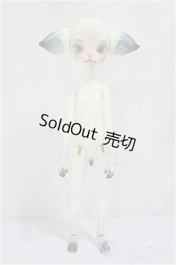画像4: Dollzone/Miss Kitty Twinkle Star fullset/BJD　球体関節人形 A-24-12-25-101-KD-ZA