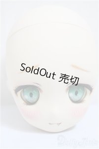 DD/DWC#1カスタムヘッド/BJD　球体関節人形 A-25-01-01-184-NY-ZA