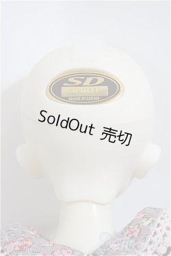 画像5: SDM女の子/コーディネートモデルF-33/BJD 球体関節人形 A-25-01-08-159-KD-ZA