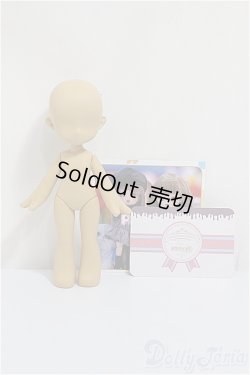 画像1: PiCCODO/1/12サイズボディ+ヘッド/ A-25-01-08-155-NY-ZA