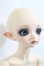 画像2: Peak’s Woods/FOB Vampire Lady Bee_Dark Elves/BJD　球体関節人形 A-25-01-15-163-NY-ZA (2)