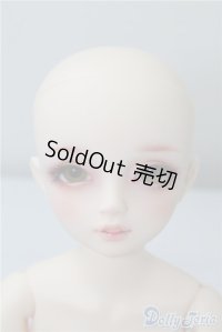 SDM女の子/F-61　コーディネートモデル U-25-01-21-216-NY-ZU