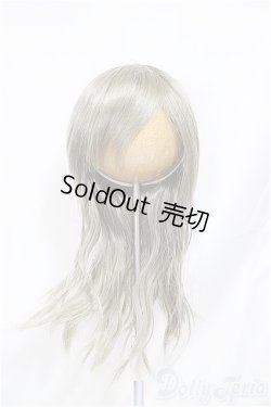 画像1: 9inch/ウィッグ/インチ　BJD　MJD　ドール用 A-25-04-02-412-NY-ZA