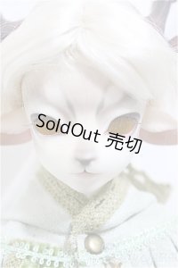 Dream Valley/Cedar/BJD　球体関節人形 A-25-01-22-199-NY-ZA