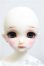 画像2: SDM女の子/コーディネートモデルF-48/BJD　球体関節人形 A-25-02-12-185-NY-ZA (2)