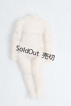 画像1: 1/12ボディ A-25-02-05-065-NY-ZA