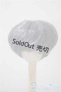 6-7inch/ウィッグ U-25-03-04-003-NY-ZU
