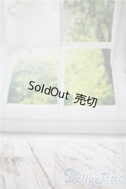 画像3: SD/背景布2点 U-25-03-04-146-KD-ZU