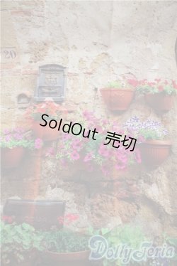 画像4: SD/背景布2点 U-25-03-04-146-KD-ZU