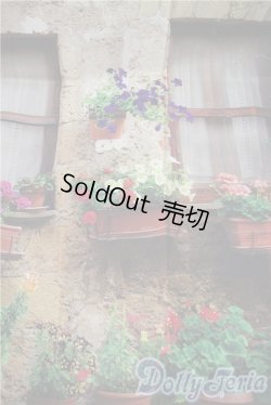 画像5: SD/背景布2点 U-25-03-04-146-KD-ZU