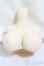 画像1: DDｄｙ/上半身パーツ　寄せ胸　DDｄｙ3-B-02/0 A-25-02-12-152-NY-ZA (1)