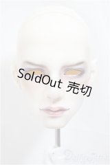 FHSH doll /TIAN Head/BJD　球体関節人形 A-25-02-12-121-NY-ZA