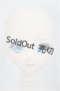 DDS/D'COORD：DDH-11ヘッド/BJD　球体関節人形 A-25-02-19-389-NY-ZA