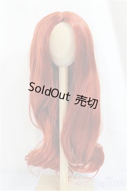 画像1: 8-9inch/ウィッグ/インチ　BJD　MJD　ドール用 A-25-02-19-216-NY-ZA