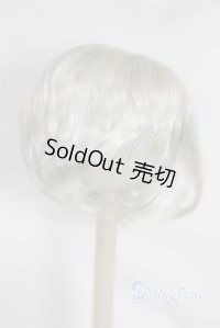 8-9inch/ウィッグ/インチ　BJD　MJD　ドール用 A-25-04-02-395-KD-ZA