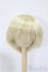 画像1: 9-10inch/ウィッグ/インチ　BJD　MJD　ドール用 A-25-04-02-399-NY-ZA (1)