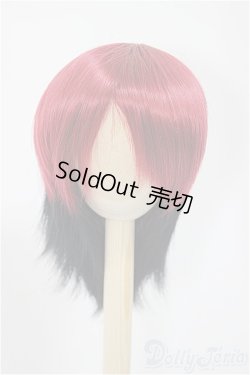 画像1: 9-10inch/ウィッグ/インチ　BJD　MJD　ドール用 A-25-02-26-189-NY-ZA