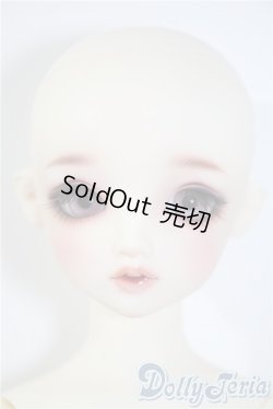 画像1: SDGIRL/リーゼロッテ the Best of the Bests Ver.2019 U-25-03-04-214-NY-ZU