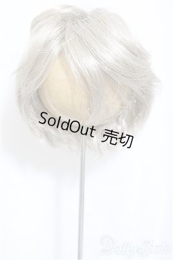 画像1: 8-9inch/ウィッグ/インチ　BJD　MJD　ドール用 A-25-03-05-150-NY-ZA