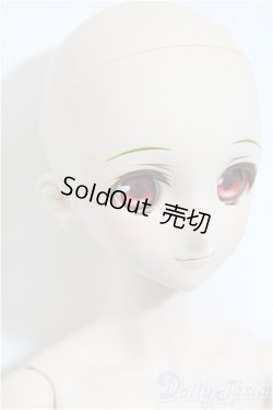 画像3: DDS/ランカ・リー/BJD 球体関節人形 A-25-02-26-398-NY-ZA