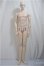 画像1: RING DOLL/The Wizard　　Elzevir/BJD　球体関節人形 A-25-04-09-150-NY-ZA (1)