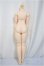 画像2: DOLLBOT/DBクラシックボディ/ A-25-03-05-132-NY-ZA (2)