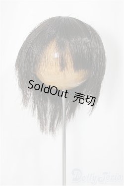画像1: 8-9inch/ウィッグ/インチ　BJD　MJD　ドール用 A-25-03-05-279-NY-ZA