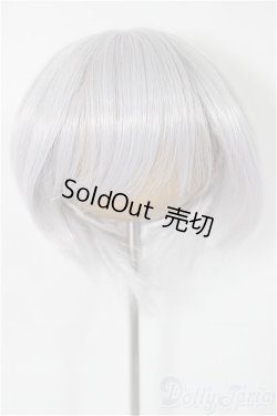 画像1: 9-10inch/ウィッグ/インチ　BJD　MJD　ドール用 A-25-03-05-431-KD-ZA