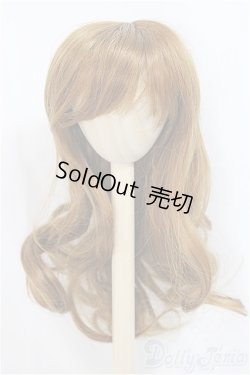 画像1: 9-10inch/ウィッグ/インチ　BJD　MJD　ドール用 A-25-03-12-153-NY-ZA