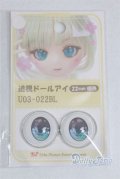 22mm/アニメアイ/ドール用　アイ A-25-03-19-092-NY-ZA
