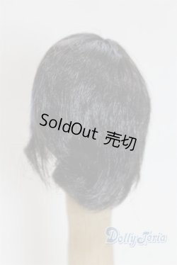 画像2: 5.5inch/ウィッグ/インチ　BJD　MJD　ドール用 A-25-03-26-010-NY-ZA