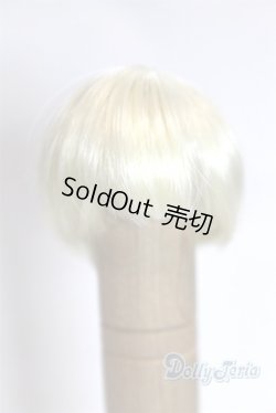 画像1: 4inch/ウィッグ/インチ　BJD　MJD　ドール用 A-25-03-26-009-NY-ZA