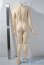 画像4: iple house/E. I. D  男性ボディ A-25-04-09-1046-NY-ZU (4)