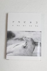 SD/豆本/0 A-25-04-02-035-NY-ZA