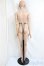 画像5: PYGMALION/HaヘッドB+madoll70cmboyボディ/BJD　球体関節人形 A-25-04-16-149-KD-ZA