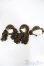 画像1: 4inch/ウィッグ　ボア　3点/インチ　BJD　MJD　ドール用 A-25-03-26-198-KD-ZA (1)