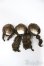 画像1: 4inch/ウィッグ　ボア　3点/インチ　BJD　MJD　ドール用 A-25-03-26-199-KD-ZA (1)