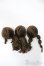 画像2: 4inch/ウィッグ　ボア　3点/インチ　BJD　MJD　ドール用 A-25-03-26-199-KD-ZA (2)