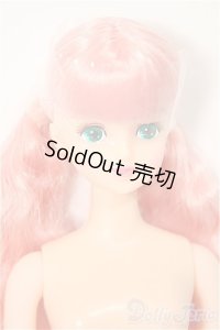ジェニー・フレンドドール/シェリー/BJD　球体関節人形 A-25-04-02-119-NY-ZA