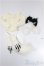 画像1: MDD/OF:小物　その他まとめて/0 A-25-04-02-170-KD-ZA (1)