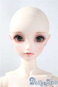SDGr/ラプンツェル U-25-04-08-215-NY-ZU