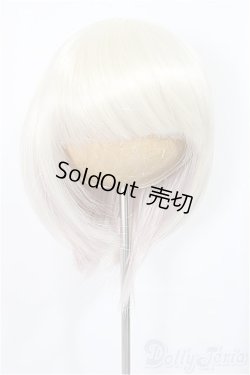 画像1: 8-9inch/ウィッグ　みさんとるーぷ 様製/インチ　BJD　MJD　ドール用 A-25-04-02-210-NY-ZA