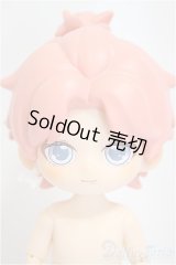 SIMONTOYS　ペテルソン園遊会/キツネ/ A-25-04-02-303-NY-ZA