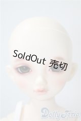 SDM/のあ　スタンダードモデル A-25-04-08-213-NY-ZA