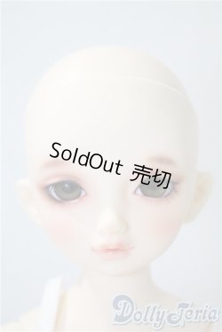 画像1: SDM/のあ　スタンダードモデル A-25-04-08-213-NY-ZA