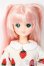 画像1: リカちゃん/みほちゃん/BJD　球体関節人形 A-25-04-09-125-NY-ZA (1)