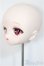 画像3: DD/DDH-01:カスタムヘッド/BJD　球体関節人形 A-25-04-09-143-NY-ZA (3)