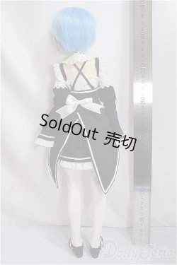 画像6: Cerberus Project/Re:ゼロから始める異世界生活 レム(ドール)/ A-25-04-09-169-KD-ZA