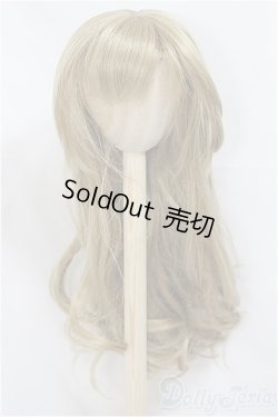 画像1: 8.5-9inch/ウィッグ/インチ　BJD　MJD　ドール用 A-25-04-09-232-NY-ZA