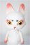 画像1: CAPSULE DOLL/vol.2　カプセルドール　狐/ A-25-04-23-339-NY-ZA (1)